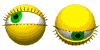 total