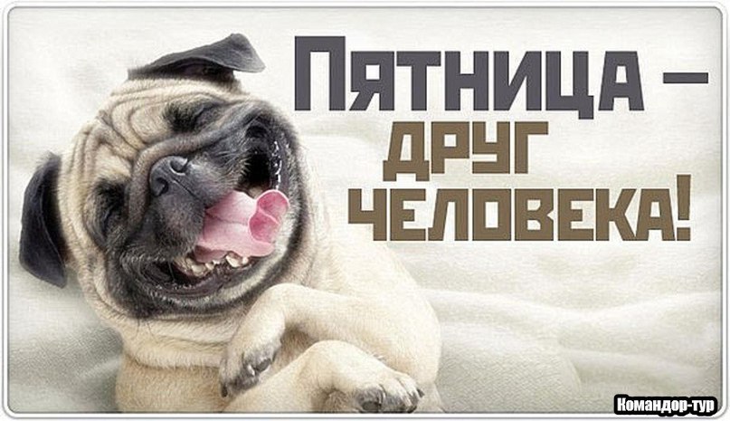 Нажмите на изображение для увеличения.

Название:	343171626x051.jpg
Просмотров:	55
Размер:	81.3 Кб
ID:	114689