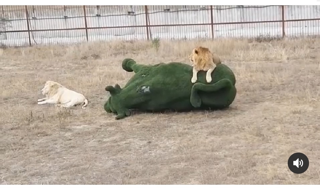 Нажмите на изображение для увеличения.

Название:	Screenshot_20191014-123805__01.jpg
Просмотров:	39
Размер:	198.9 Кб
ID:	120952