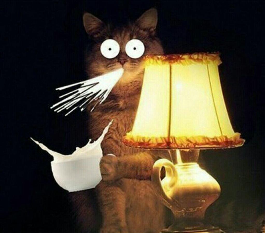 Нажмите на изображение для увеличения.

Название:	image.jpg
Просмотров:	40
Размер:	69.0 Кб
ID:	154429