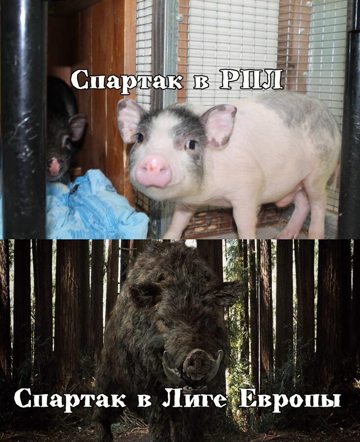 Нажмите на изображение для увеличения.

Название:	ohPvSdKaohQ.jpg?size=1024x1256&amp;quality=96&amp;sign=815a37a0b474cd83f3457b6fca5dcfe6&amp;type=album.jpg
Просмотров:	282
Размер:	111.9 Кб
ID:	389699
