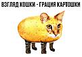 Нажмите на изображение для увеличения.

Название:	82E6FAFC-8559-417A-95B5-1D8228F587E0.jpeg
Просмотров:	514
Размер:	103.5 Кб
ID:	15082