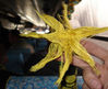 DSC02904_1.jpg