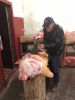 IMG-20170401-WA00035B15D.jpg