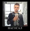 47393531_nasosal.jpg