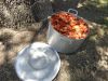DSC01512.JPG