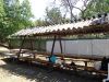 DSC01513.JPG