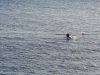 DSC01598.JPG