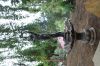 DSC01636.JPG