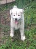 IMG-20180518-WA0006.jpg