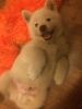 IMG-20180518-WA0013.jpg