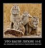 mp6343fk6omd.jpg