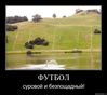 oej02l9fk1uy.jpg