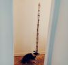1412496896_276801065.jpg