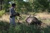 Имя файла=Approaching_a_Killed_Cape_Buffalo.jpg
Размер файла=520КБ
Размеры=1051x701
Дата=Май 19, 2017 Approaching_a_Killed_Cape_Buffalo.jpg