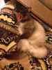 IMG-20140601-WA0001.jpg