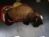 IMG-20140604-WA0000.jpg
