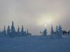 IMG_4575.JPG