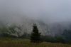 DSC00116.JPG