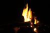 DSC00177.JPG