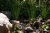DSC00219.JPG