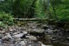 DSC00294.JPG