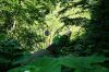 DSC00319.JPG