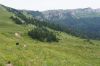 DSC09773.JPG