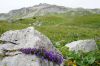 DSC09791.JPG