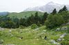 DSC09850.JPG