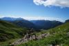 DSC09943.JPG