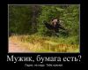 medved.jpg